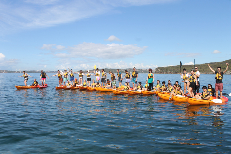 Group Picnic and Paddle Experience in Manly Beach