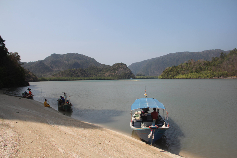 Langkawi Mangrove Discovery Adventure Tour by Cruise