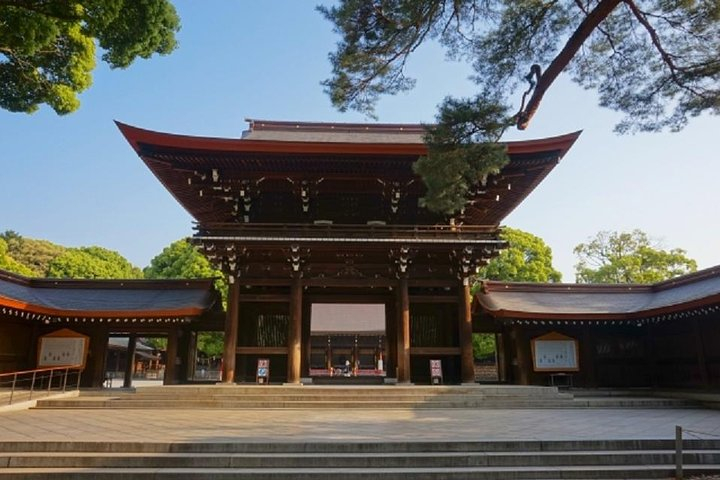 Meiji Jingu Shrine Half-day Tour by public transportation