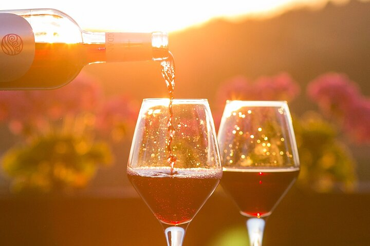 4-Hour Traverse City Sunset Wine Tour: 3 Wineries on Old Mission Peninsula kGvOCGfG