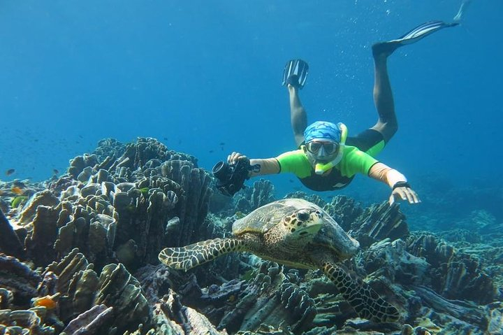 Surin Islands Speedboat Snorkeling Tour From Phuket QtwHR8Km
