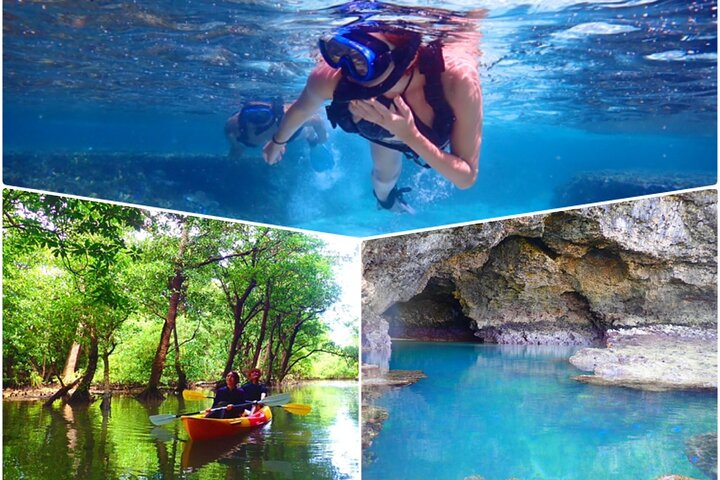 [Ishigaki]Mangrove SUP/Canoe + Blue Cave Snorkeling 0gfptk5u
