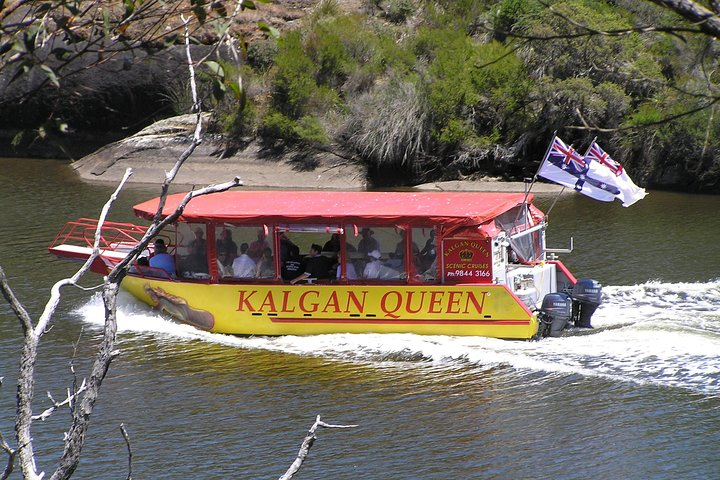 Kalgan Queen Scenic Cruises a four hour sheltered water wildlife tour daily fun.