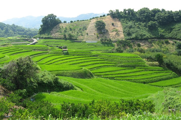 Okayama Full-Day Private Trip with Government-Licensed Guide CwNZvOAt