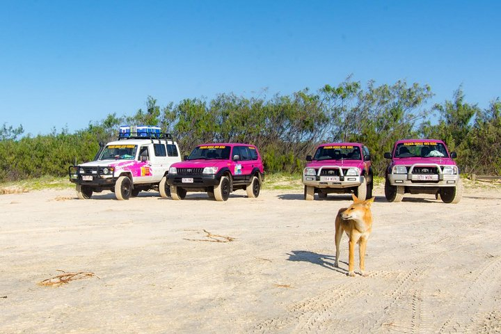 3 Day 4wd Tagalong Tour - Fraser Island