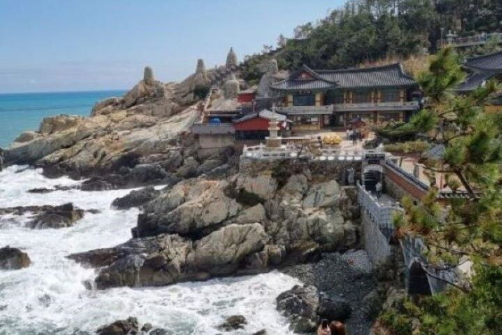 Busan ONE-DAY Highlights for PRIVATE CRUISE PASSENGER'S McF3LMlX