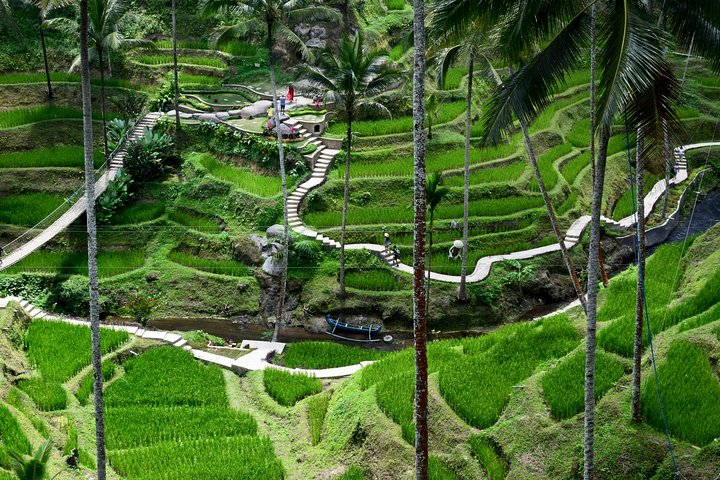 Campuhan Ridge Walk