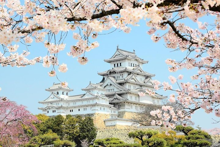 Himeji Half-Day Private Tour with Government-Licensed Guide adcSZE4k