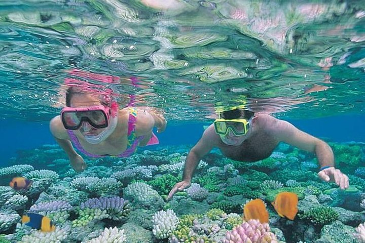Best Snorkeling Lombok: Gili Nanggu, Gili Kedis & Gili Sudak Day-Trip