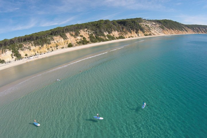 From Noosa: Stand Up Paddle Wildlife & Beach 4X4 Adventure tRPgqArK