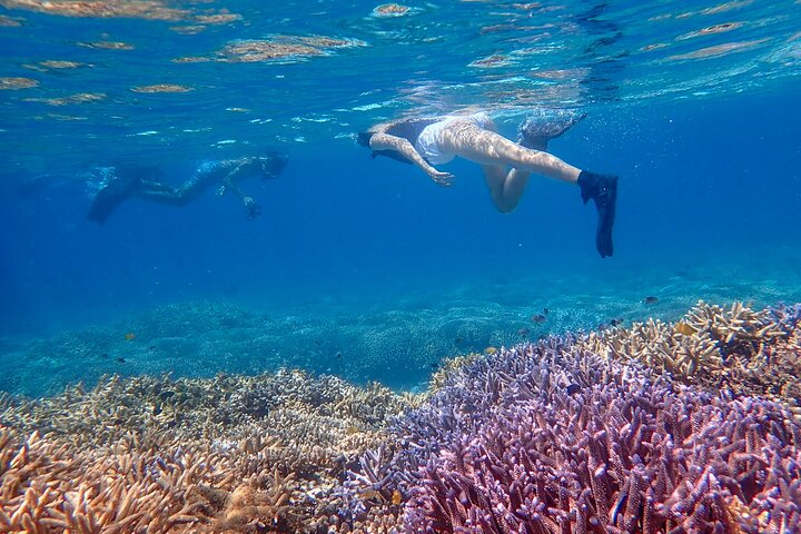 Ishigaki Phantom Island Snorkeling ＆ Kabira Bay SUP or Canoeing De9thHxL