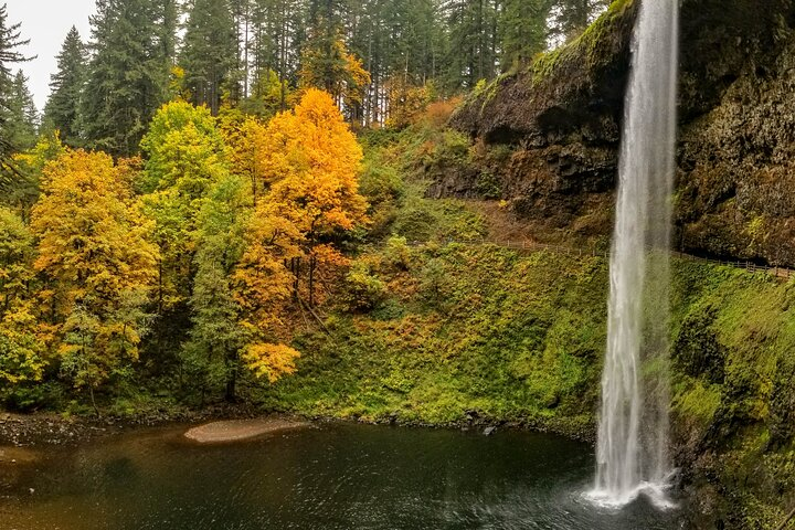 Silver Falls Seven Waterfall Hike Harga Promo - tiket.com