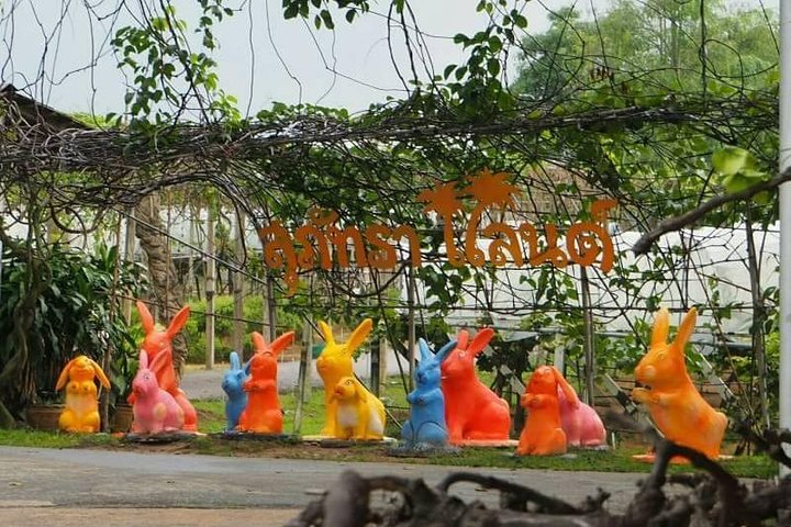 Rayong Nong Lalok Suphattra Land Orchard Entrance Tickets