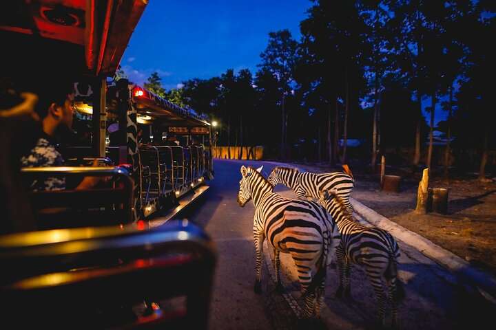 Chiang Mai Night Safari Ticket