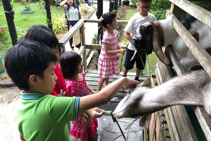 Johor Tour ends in Singapore - Southernmost Tip, Eco Farm, Go Kart [Car] fAwqotQz