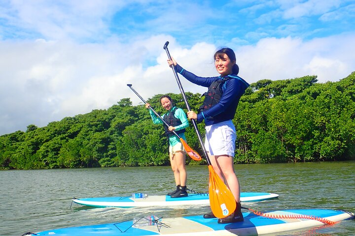 Okinawa Ishigaki Mangrove SUP or Canoe Tour RKIXjZ3a