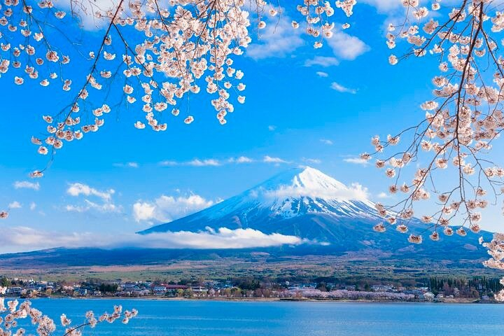 Mt. Fuji Five Lakes Area Private Tour with Licensed Guide(Kawaguchiko area Dep) sxusta2t