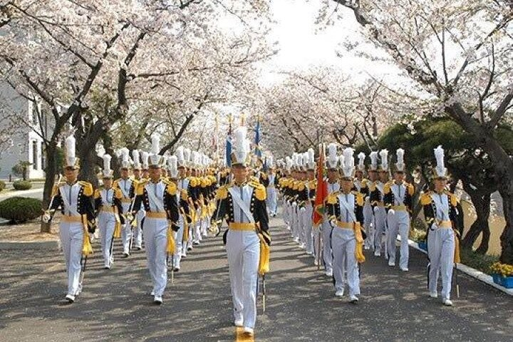 Full-Day Jinhae Cherry Blossom festival Private tour 5vdZuEjG