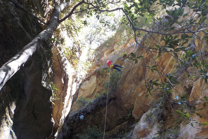Juggler Canyon and Abseiling Adventure Blue Mountains fYZcgRcf