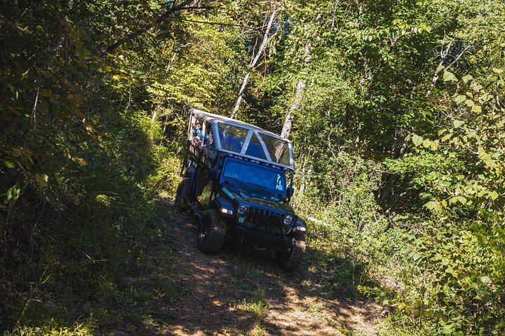 Smoky Mountains Newfound Gap Jeep Tour 65XD0rBQ