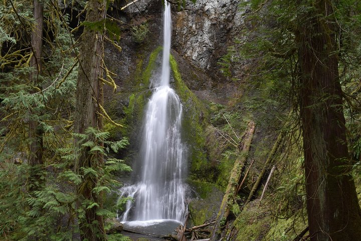 Half Day Guided Tour of Olympic National Park 6fgBHg96