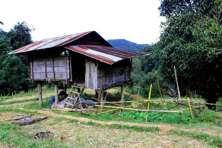 Doi Inthanon National Park and Kew Mae Pan Nature Trail Full Day Tour ZfewE9z4