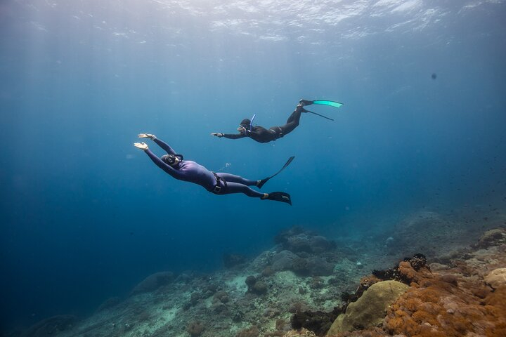 Snorkeling and Freediving Trip around Nusa Penida