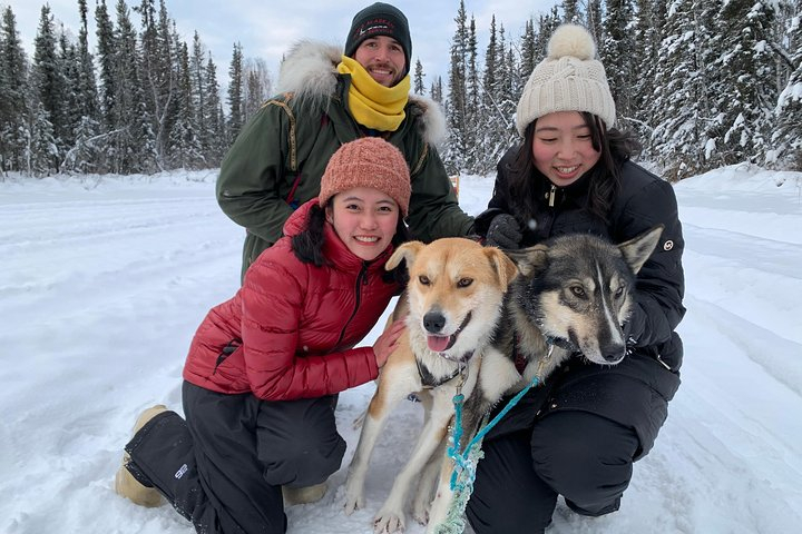 Dog Sledding and Mushing Experience in North Pole STQy1PLZ
