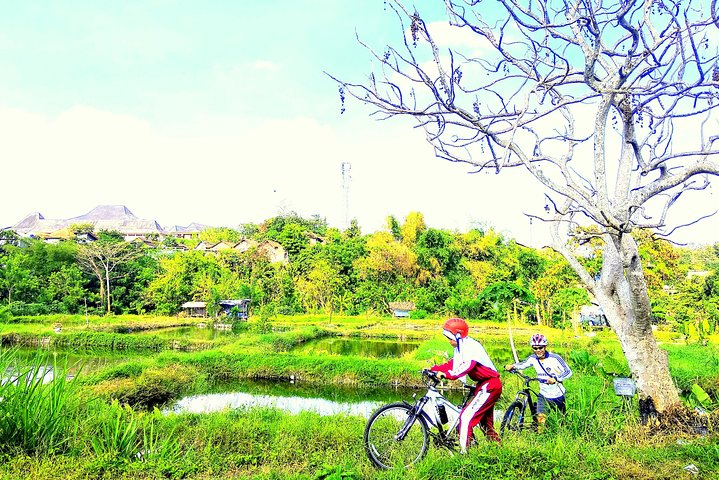 Yogyakarta Cycling Tour Around the Villages and Fish Farm