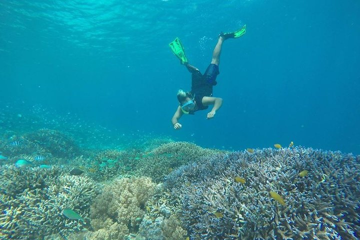 Snorkeling (Depart Gili T),Gili Trawangan, Gili Meno,