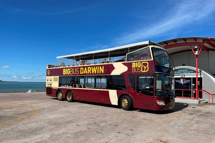 Darwin Shore Excursion: Hop-on Hop-off Bus Tour