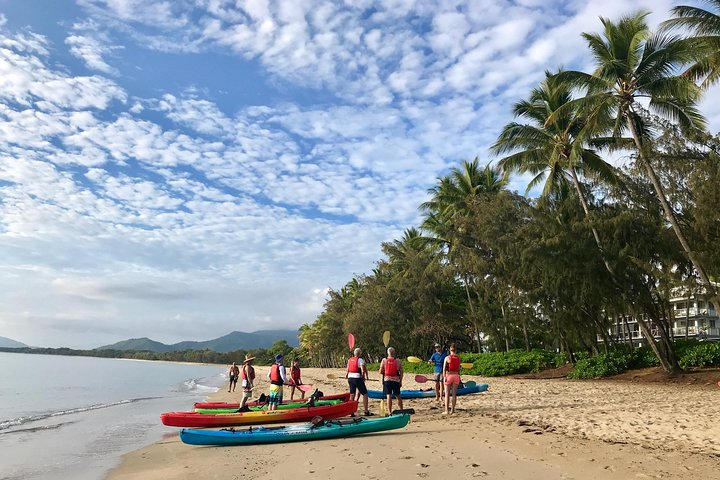 Kayak Turtle Tour from Palm Cove EKo1JE2M