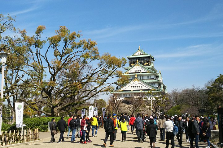 Osaka Castle & Dotonbori Lively One-Day Walking Tour 7m9GCPsi