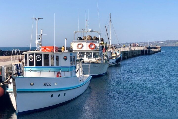 Mornington Peninsula Day Tour. Your Day Your Way. Your group only v9jZxlW1