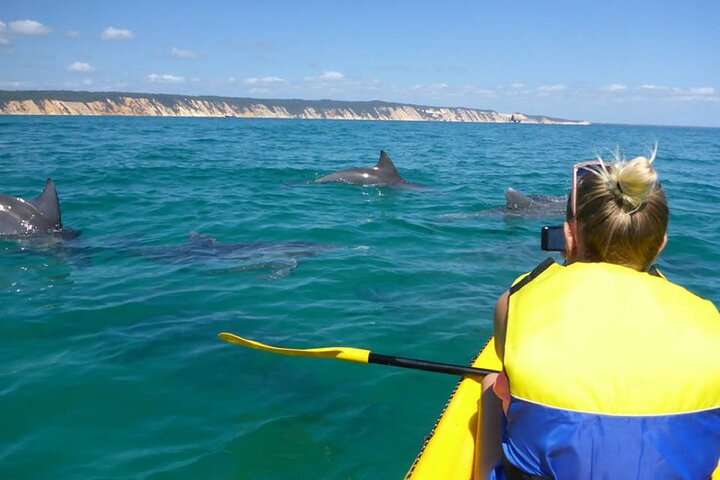 Epic Kayak With Dolphins & Wildlife - 4WD Beach Adventure Noosa qTGy0Ksq