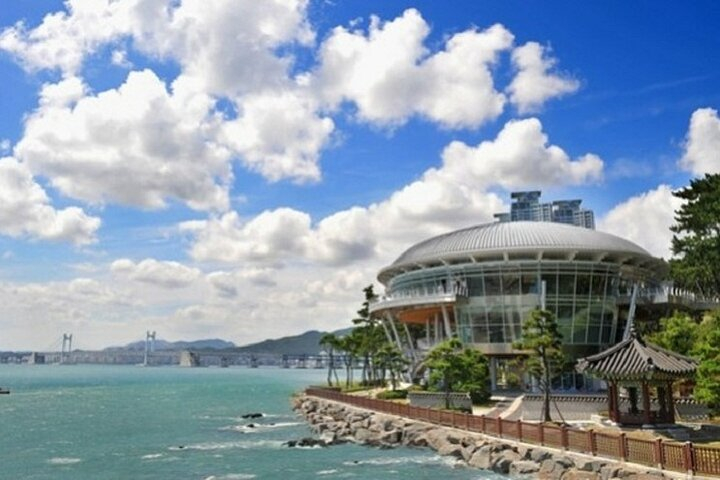 Full Day Private Busan Tour