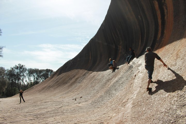 Wave Rock, Pinnacles and Rottnest One Day Aeroplane Tour