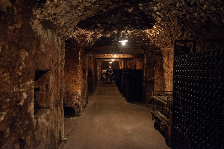 Reims afternoon tour Champagne and family growers WaIgk72R