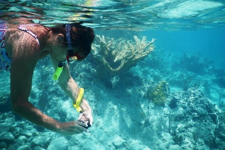 Private day tour: Indonesia Batam Island Reef Snorkel & Kayak from Singapore