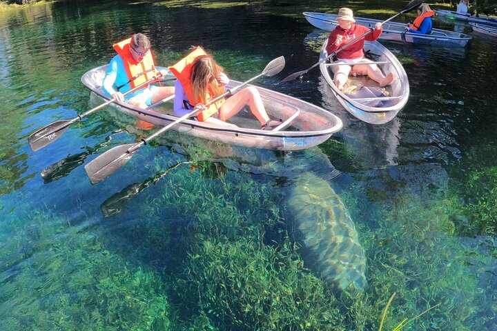Clear Kayak Manatee Ecotour of Crystal River uMjOdNwb