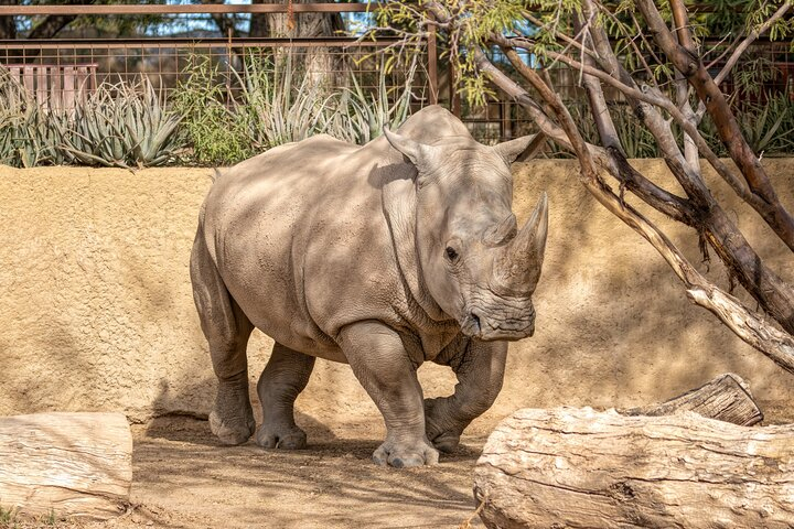 Phoenix Zoo Admission Ticket YZ0VQ2k7