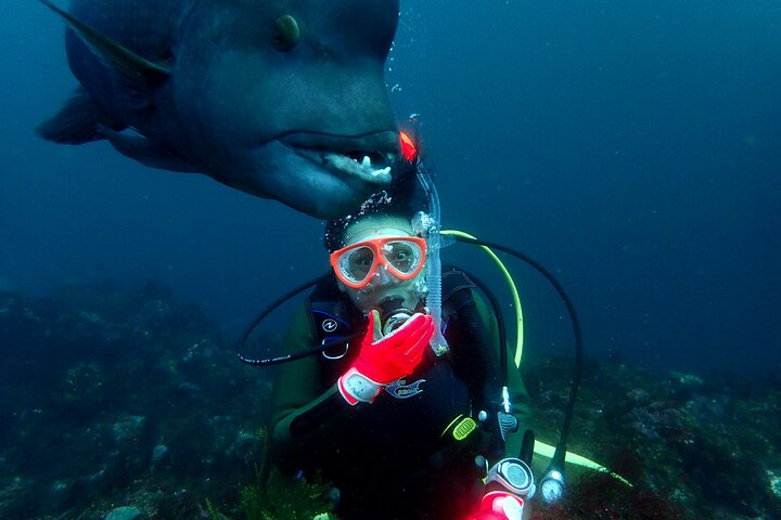 Let's enjoy Scuba diving in Izu Oceanic park Izu Peninsula