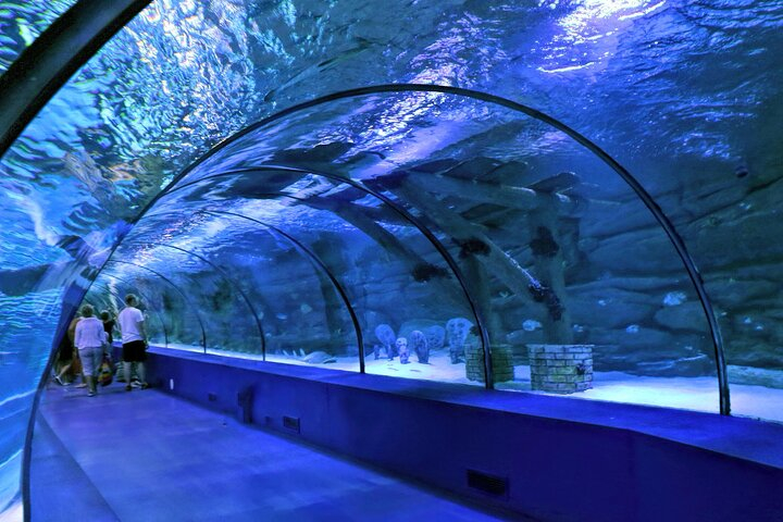 Tiket Skip the Line: Antalya Aquarium Ticket - Harga Promo tiket.com