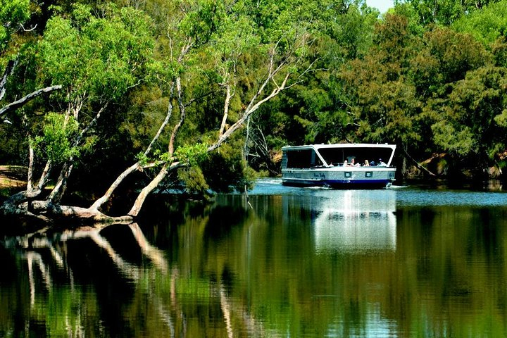 Perth River Cruise and Vineyard Experience: Best of Both Worlds