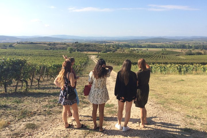 Cité de Carcassonne and Wine Tasting Private Day Tour from Toulouse ZcpdRFgb