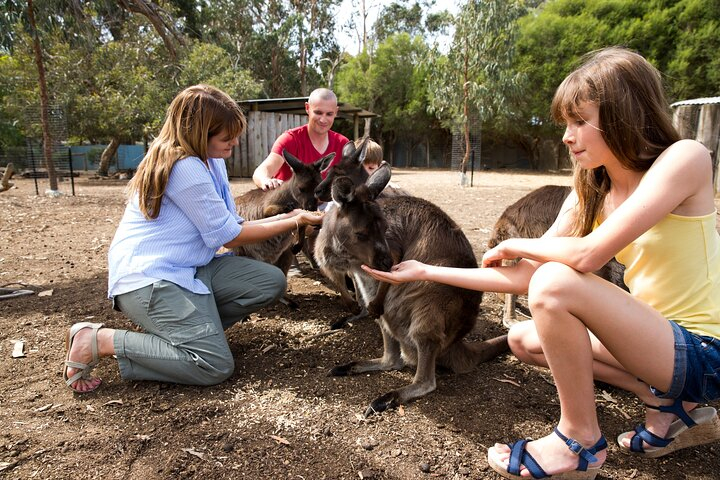 Full-Day Kangaroo Island Experience Departing from Kangaroo Island GS6QvUSP