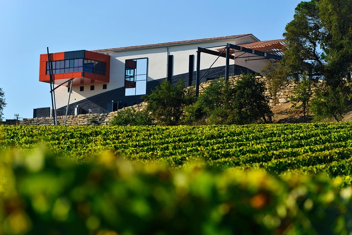 Saint-Emilion Grand Cru Classified: Picnic & Visit in French 53MLbJOV