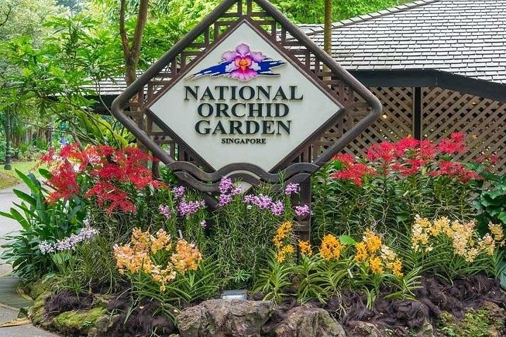 National Orchid Garden Entry Ticket