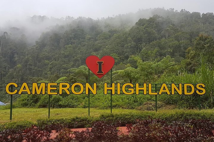 Cameron Highlands Amazing Day Trip Tour with Local Lunch kkBUkldf