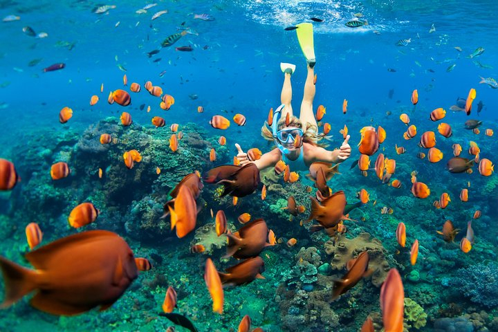 Discover UnderWater Blue Lagoon with this Snorkeling